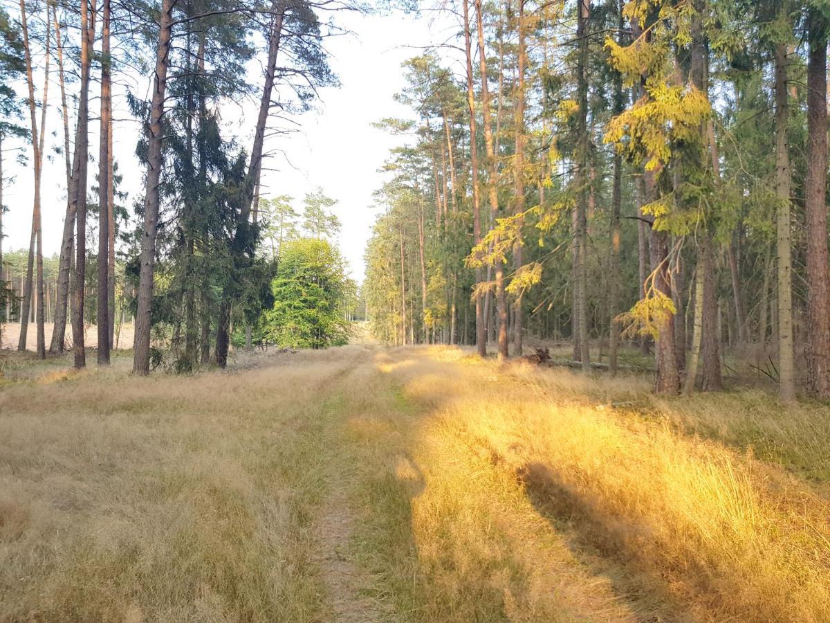 Mazurska Sielanka Na Wiartlu Villa Pisz Exterior photo